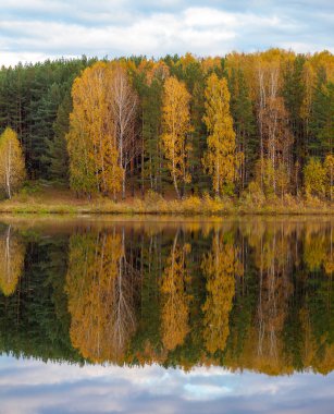 Renkli yaprak ağacı sonbahar günü sakin gölet suyunda yansıyor.. 