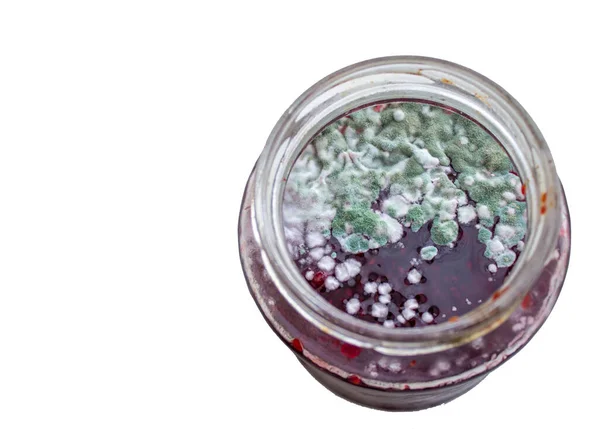 Mold Jar Raspberry Jam Hazardous Health Mold High Quality Photo — Stock Photo, Image