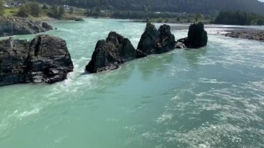 Hızlı akan geniş ve tamamen akan bir dağ nehri. Büyük kayalar sudan dışarı çıkar. Büyük dağ nehri Katun, turkuaz renk, Altai Dağları, Altai Cumhuriyeti.