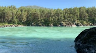 Hızlı akan geniş ve tamamen akan bir dağ nehri. Büyük kayalar sudan dışarı çıkar. Büyük dağ nehri Katun, turkuaz renk, Altai Dağları, Altai Cumhuriyeti.