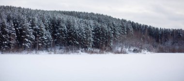 Kışın donmuş bir göl ya da nehir. Ormanın yakınında ve karlı dağlarda. Güzel kış manzaraları. Doğada kış gezileri.