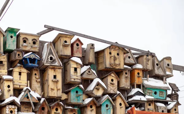 Veel Verschillende Vormen Van Vogelvoeders Vogelhuisjes Hangen Aan Een Houten — Stockfoto