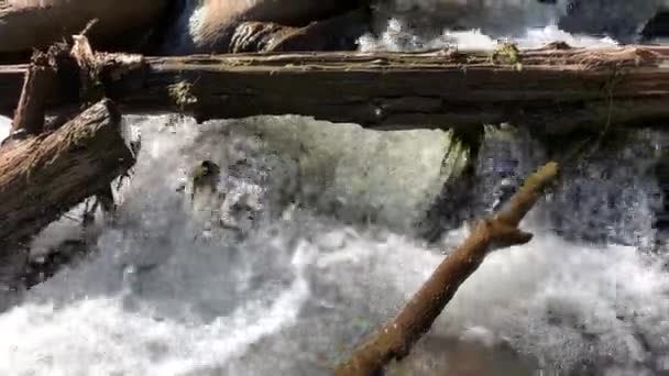 Mountain Waterfall Water Rushing Downstream Waterfall Cascading Rocks Boulders Flowing — Stock Video