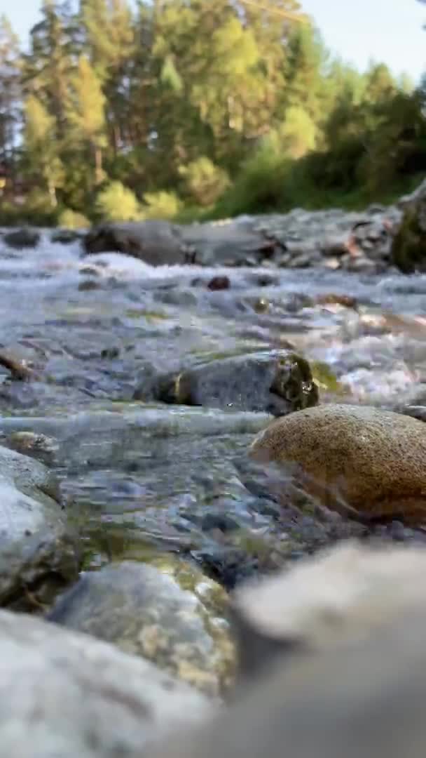 Pionowe Wideo Szybko Płynąca Szeroka Pełni Płynąca Górska Rzeka Duże — Wideo stockowe