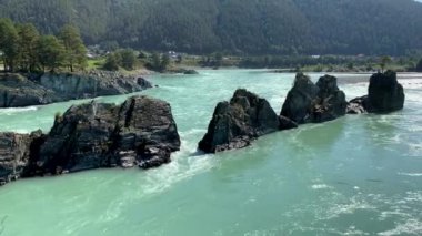 Hızlı akan geniş ve tamamen akan bir dağ nehri. Büyük kayalar sudan dışarı çıkar. Büyük dağ nehri Katun, turkuaz renk, Altai Dağları, Altai Cumhuriyeti.