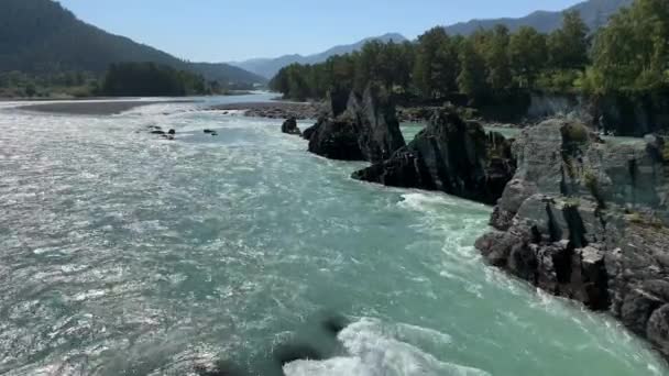 Fast Flowing Wide Full Flowing Mountain River Large Rocks Stick — Stock Video