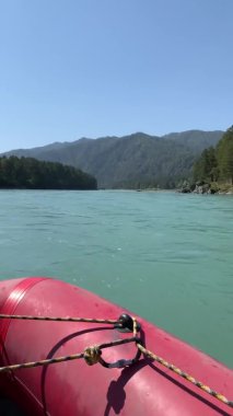Dikey video. Dağ nehrindeki bir motorlu teknede akıntıya karşı hareket. Hızlı akan geniş ve tamamen akan bir dağ nehri. Büyük kayalar sudan dışarı çıkar. Büyük dağ nehri, Altai. 
