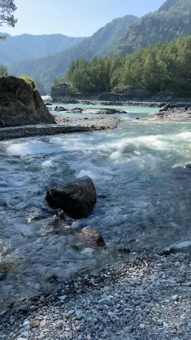 Vidéo Verticale Une Rivière Montagne Écoulement Rapide Large Grands Rochers — Video