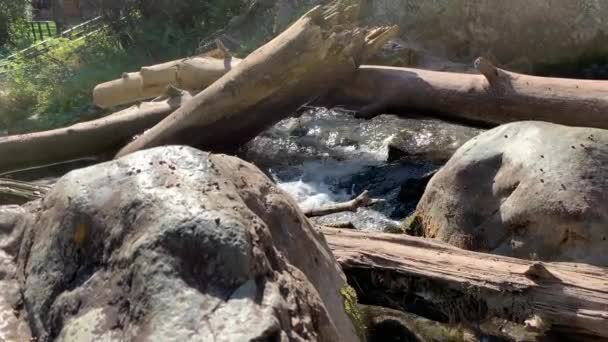 봄철에 폭포에서 하류로 바위와 둥근돌을 헤치며 흘러내리는 쓰러진 아래로 흘러내려 — 비디오