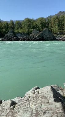 Dikey video. Hızlı akan geniş ve tamamen akan bir dağ nehri. Büyük kayalar sudan dışarı çıkar. Büyük dağ nehri Katun, turkuaz renk, Altai Dağları, Altai Cumhuriyeti.