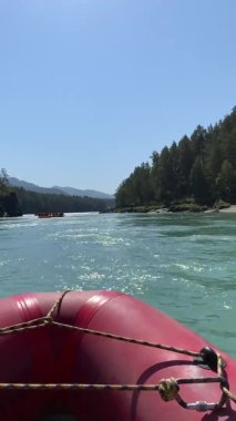 Dikey video. Dağ nehrindeki bir motorlu teknede akıntıya karşı hareket. Hızlı akan geniş ve tamamen akan bir dağ nehri. Büyük kayalar sudan dışarı çıkar. Büyük dağ nehri, Altai. 