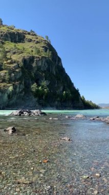 Dikey video. Hızlı akan geniş ve tamamen akan bir dağ nehri. Büyük kayalar sudan dışarı çıkar. Büyük dağ nehri Katun, turkuaz renk, Altai Dağları, Altai Cumhuriyeti.