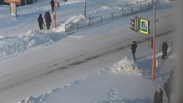 Kemerovo Rusia Noviembre 2021 Gente Cruza Calle Ciudad Invierno Semáforo — Vídeos de Stock