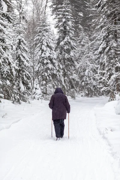 Man Dark Jacket Walks Snowy Forest Winter Rear View Skiing — 图库照片