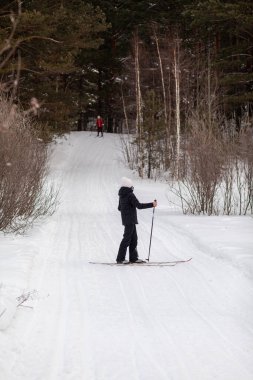 Siyah ve kırmızı ceketli iki kız kışın karla kaplı bir ormanda kayak yapıyor. Arka arkaya ağaçlar dikiz aynası. Güzel bir karlı ormanda soğukta kayak yapmak. Güzel kış doğası