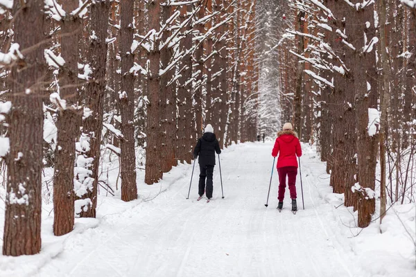 Two Girls Black Red Jacket Skiing Winter Snow Covered Forest — 图库照片
