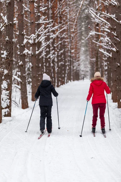 Twee Meisjes Een Zwart Rood Jasje Skiën Winter Een Besneeuwd Rechtenvrije Stockafbeeldingen