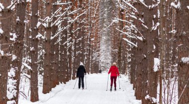 Siyah ve kırmızı ceketli iki kız, kışın ormanda kayak yapıyor..