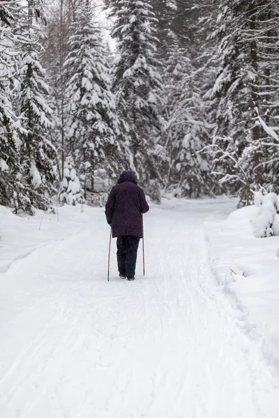 A man in a dark jacket walks through a snowy forest in winter. — 图库照片