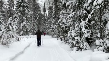 Siyah ceketli bir adam kışın karla kaplı bir ormanda kayak yapıyor.