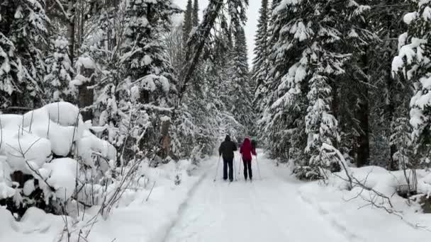 Dwie dziewczyny w czarno-czerwonej kurtce jeżdżą zimą na nartach w lesie.. — Wideo stockowe