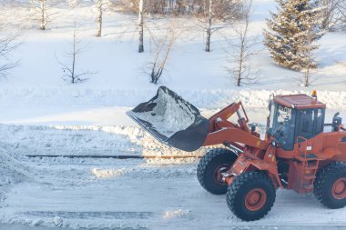 Büyük turuncu traktör yoldan kar temizler ve kamyona yükler. Kışın kardan şehrin yollarının temizlenmesi ve temizlenmesi