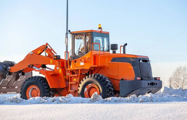 Büyük turuncu traktör yoldan kar temizler ve kamyona yükler. Kışın kardan şehrin yollarının temizlenmesi ve temizlenmesi