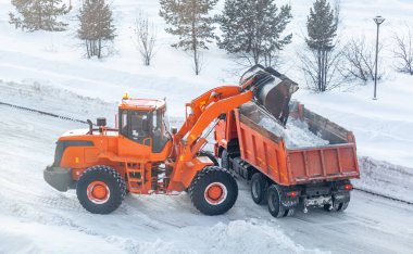 Büyük turuncu traktör yoldan kar temizler ve kamyona yükler. Kışın kardan kentteki yolların temizlenmesi ve temizlenmesi. Kar yağışı ve kar fırtınasından sonra karlar kalkar. 