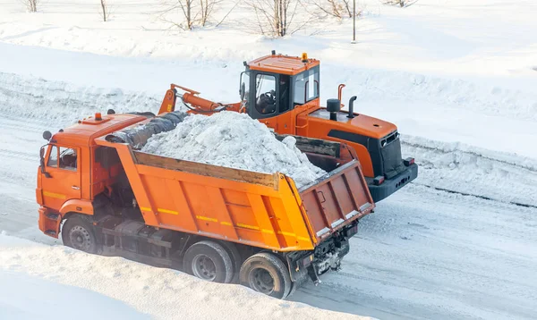 Büyük turuncu traktör yoldan kar temizler ve kamyona yükler. Kışın kardan şehrin yollarının temizlenmesi ve temizlenmesi
