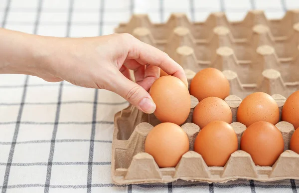 Kippenbruine Eieren Liggen Een Kartonnen Doos Gekocht Een Supermarkt Gezond Rechtenvrije Stockafbeeldingen