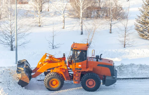 Büyük turuncu traktör yoldan kar temizler ve kamyona yükler. Kışın kardan şehrin yollarının temizlenmesi ve temizlenmesi