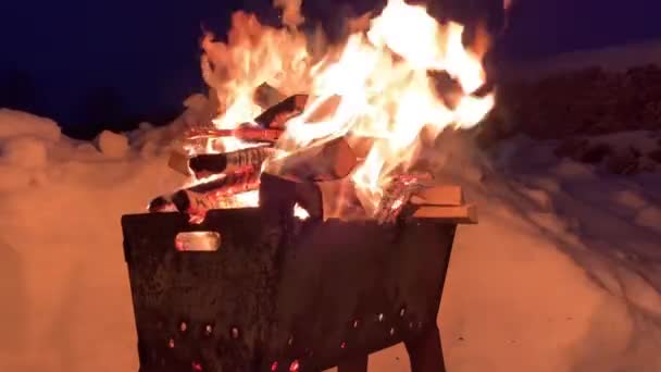 Auf Dem Grill Gestapeltes Brennholz Brennt Nachts Gut Und Hell — Stockvideo
