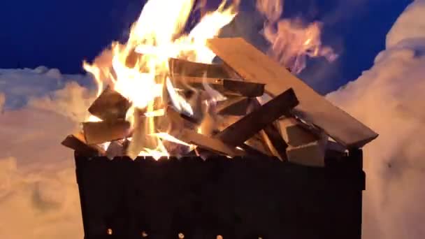 Stacked Firewood Grill Burns Well Brightly Night Kindling Firewood Cooking — Stock Video