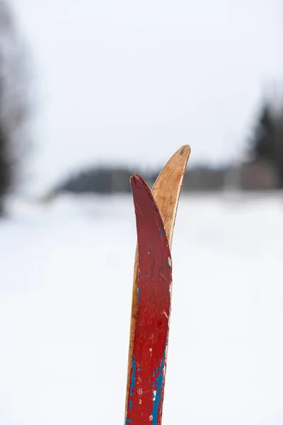 Skis Stuck Snow Winter Active Winter Holidays Mountains Forest Skis — Φωτογραφία Αρχείου