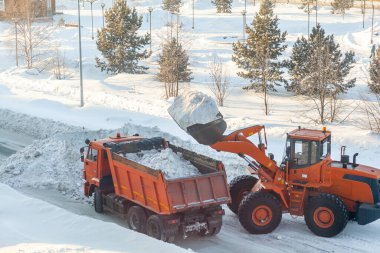 Büyük turuncu traktör yoldan kar temizler ve kamyona yükler. Kışın kardan kentteki yolların temizlenmesi ve temizlenmesi. Kar yağışı ve kar fırtınasından sonra karlar kalkar. 