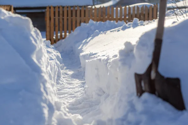 Hombre Cavó Pasaje Través Mucha Nieve Limpiando Nieve Casa Cerca —  Fotos de Stock