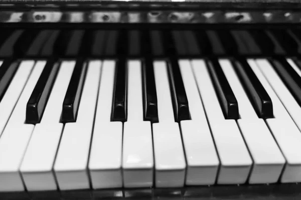 Piano Keys Closeup Musical Instrument Black White Photo Stock Image