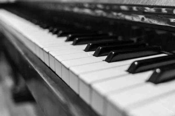 Piano Keys Closeup Musical Instrument Black White Photo Stock Photo