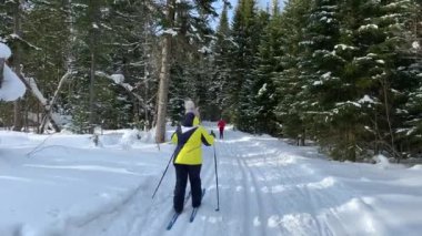 Kış ormanında bir yürüyüş. Kar ağaçları ve kayak pisti. Güzel ve alışılmadık yollar ve orman patikaları. Güzel kış manzarası. Ormanda kayak yapmak. Kayak hareketi