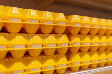 Yerel bir dükkanda satılık büyük bir tavuk yumurtası koleksiyonu..