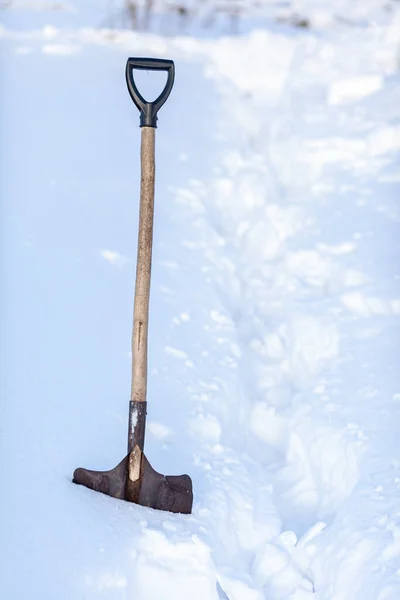 Metal shovel stuck with snow close-up. Snow removal in winter after — Stock Photo, Image