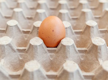Büyük bir karton torbanın hücreleri arasında birkaç kahverengi yumurta, değerli bir besleyici ürün olarak bir tavuk yumurtası, kırılgan yumurtaları taşımak ve depolamak için bir tepsi. Bir paket yumurta, önemli bir yiyecek.