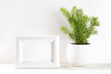 Çiçek saksısında küçük Xmas ağacı ve beyaz çerçeveli Noel minimumu. Boşluğu kopyala.