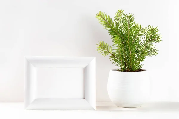 Gambar Natal minimal dengan pohon Natal kecil di pot bunga dan bingkai putih di atas putih. Salin ruang. — Stok Foto