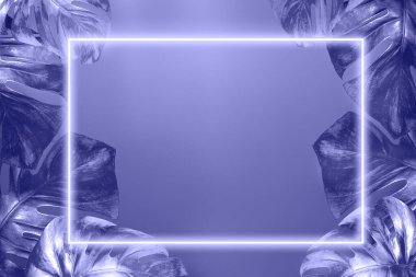 Üzerlerinde egzotik tropikal palmiye yaprakları ve neon ışıklı bir çerçeve var. Yıllık lavanta rengi tonlama çok Peri. Üst görünüm, düz görünüm, kopyalama alanı, maket.