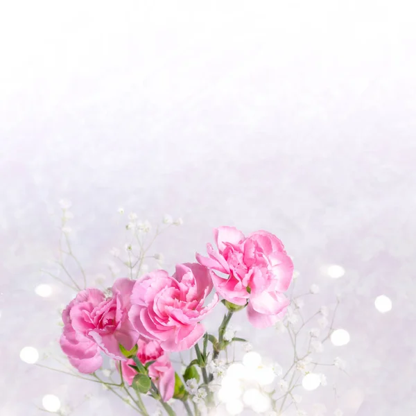 Festive Greeting Card Mother Day Wedding Valentines Day Pink Carnations — Stock Photo, Image