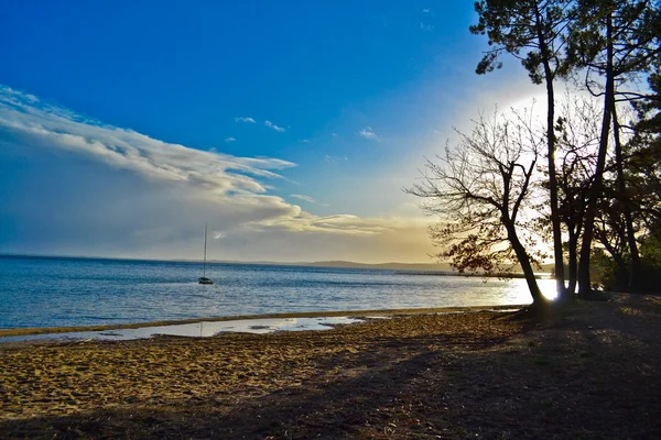 日落、 树木和乘船在湖 — 图库照片