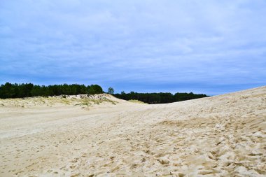Dune Pilat görünümünün