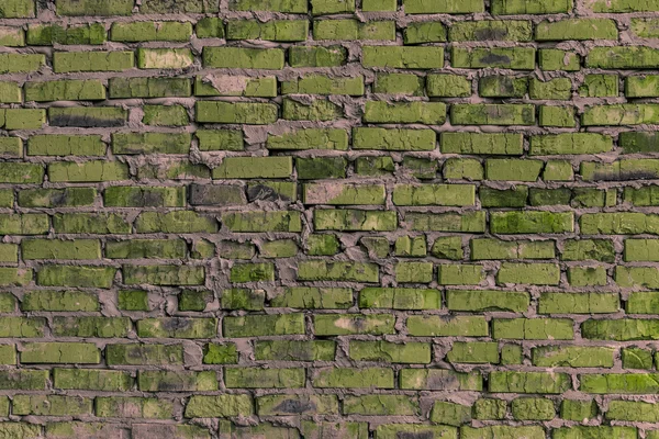 Alvenaria verde parede de tijolo de fundo — Fotografia de Stock