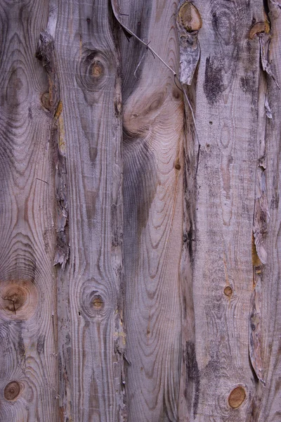 Wooden texture (natural background) — Stock Photo, Image